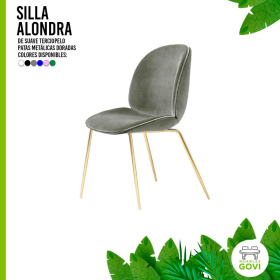 Silla Beetle