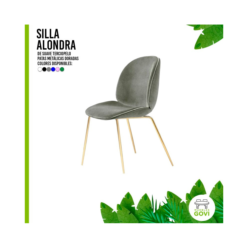 Silla Beetle