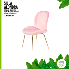 Silla Beetle