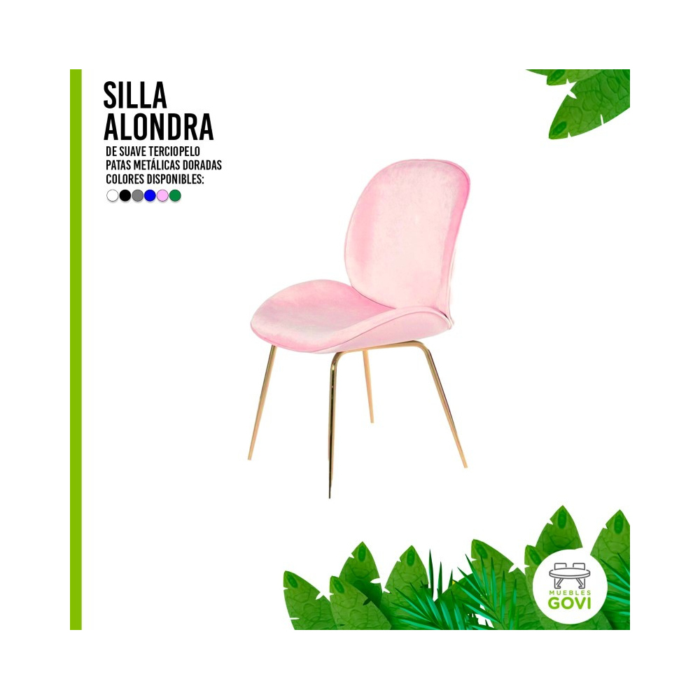 Silla Beetle