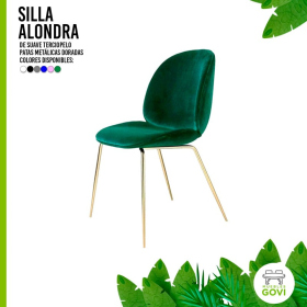 Silla Beetle