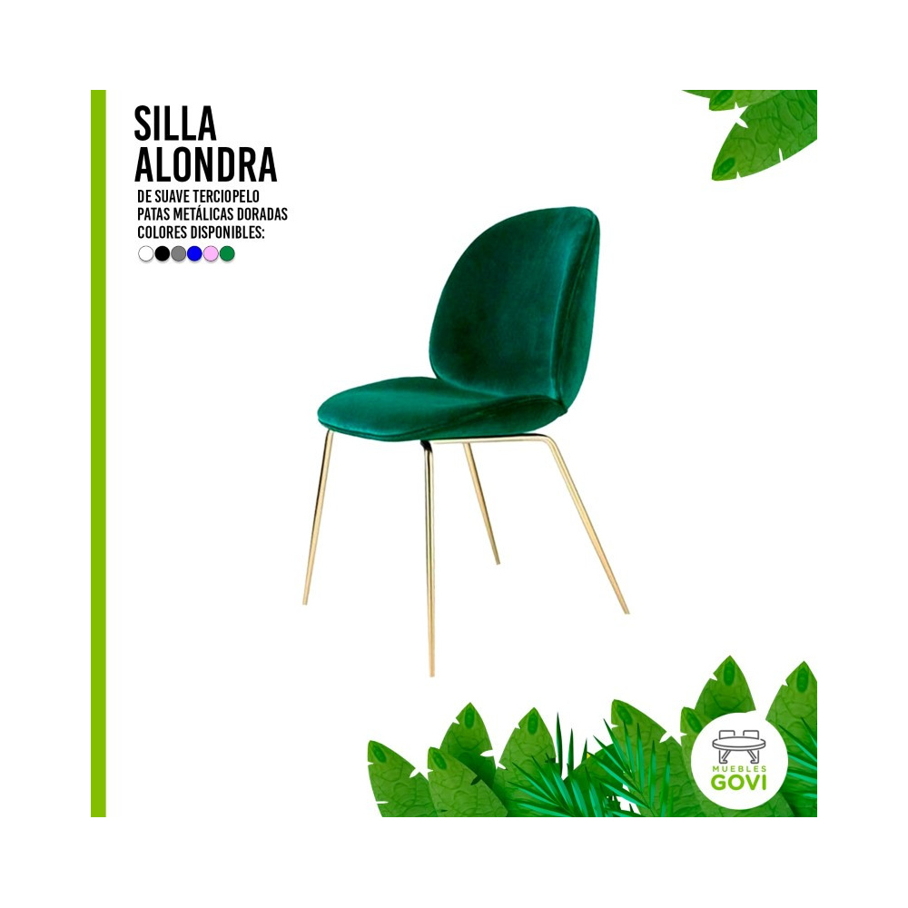 Silla Beetle