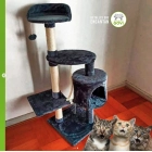 Rascador Gato Pequeño